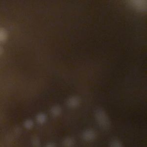 Meet your Posher, Sierra